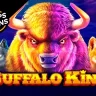 Buffalo King at bwin Casino